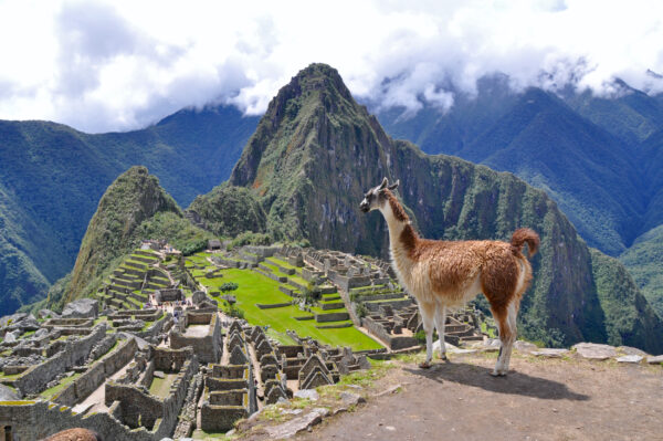 Machu Picchu
